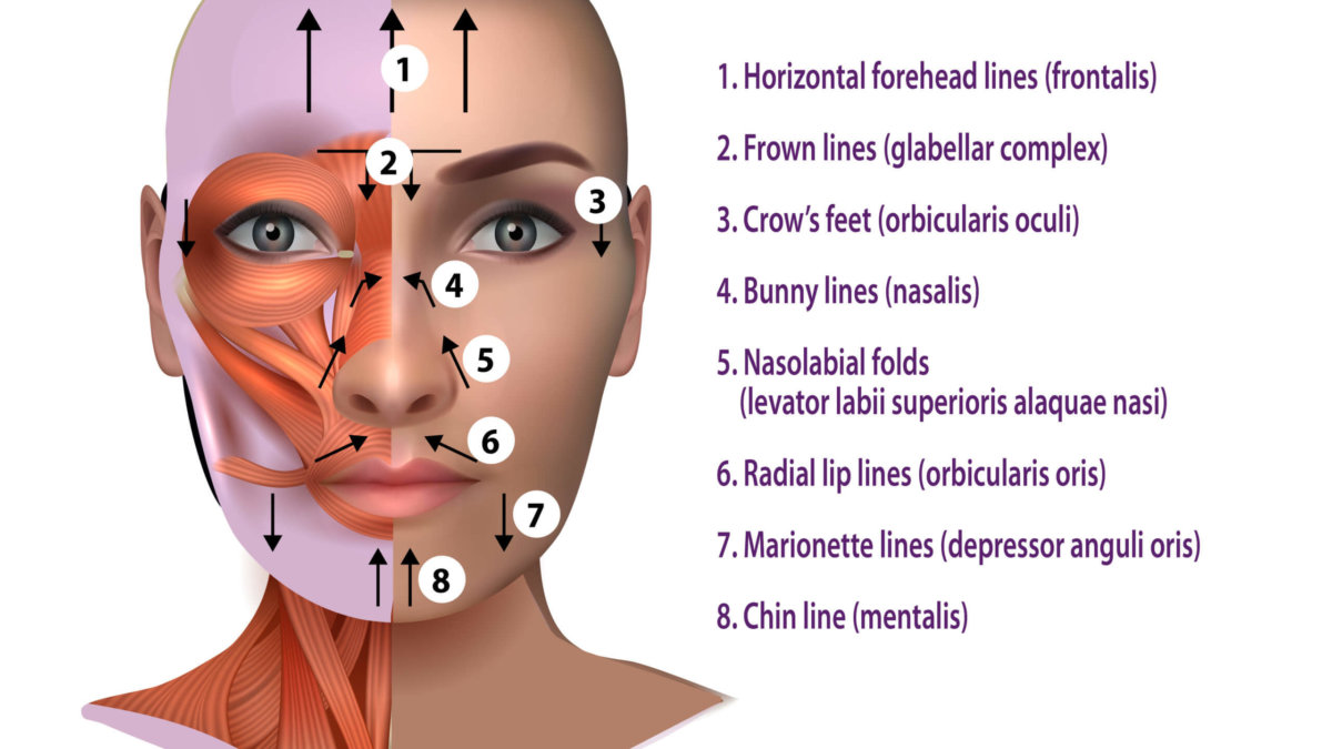 Answering the Question How Does Botox Work Tannan Plastic Surgery